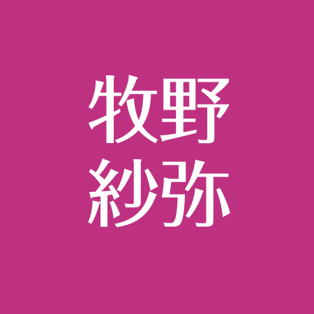 牧野紗弥の結婚した旦那 娘について 子供の通う幼稚舎や小学校はどこ 実家は名古屋のお金持ち アスネタ 芸能ニュースメディア